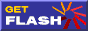 Get Flash Now!